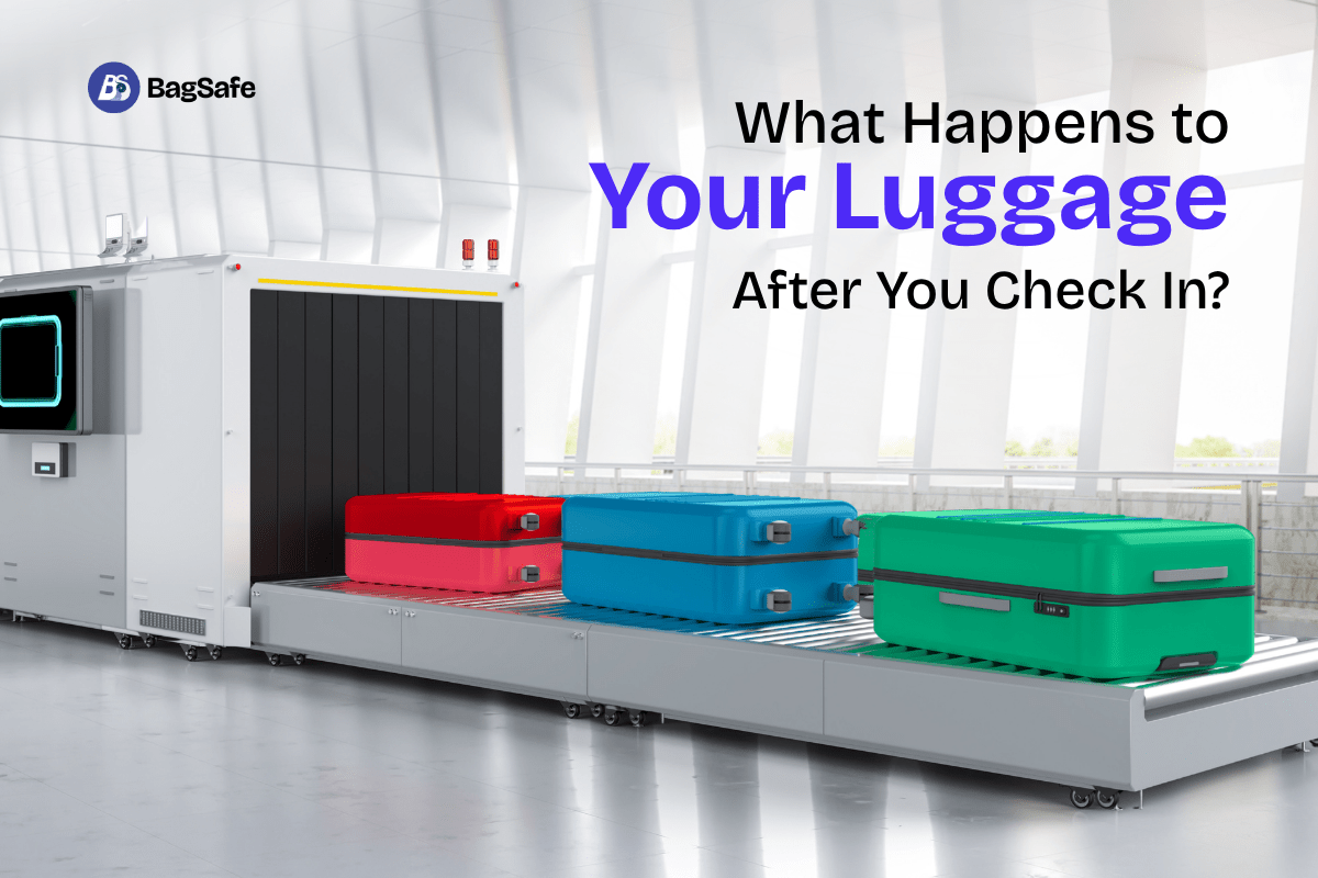 What Happens to Your Luggage After You Check In? - BagSafe